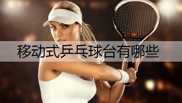 移动式乒乓球台有哪些