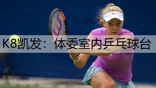 K8凯发：体委室内乒乓球台