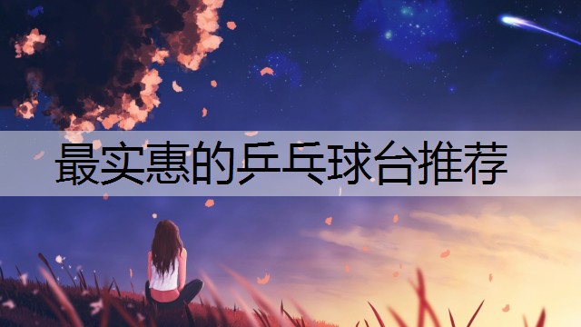 最实惠的乒乓球台推荐