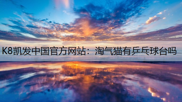 K8凯发中国官方网站：淘气猫有乒乓球台吗