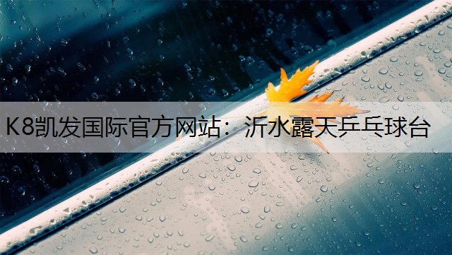 K8凯发国际官方网站：沂水露天乒乓球台