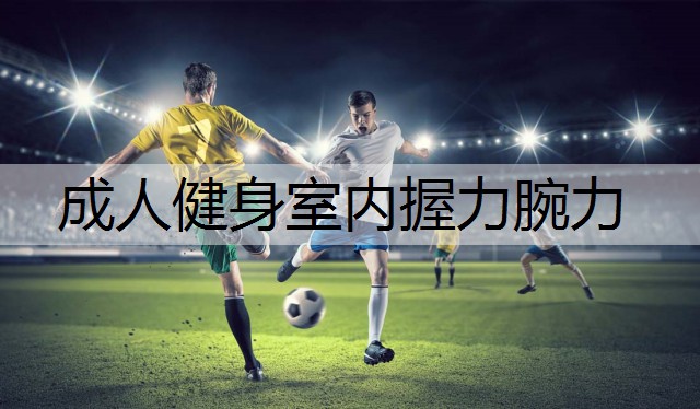 成人健身室内握力腕力