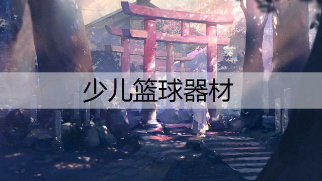 少儿篮球器材