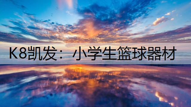 K8凯发：小学生篮球器材