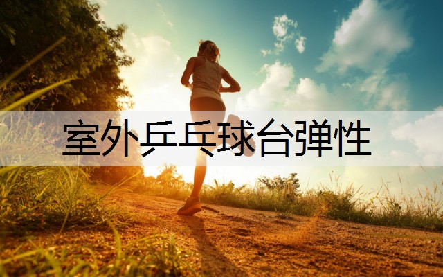 室外乒乓球台弹性