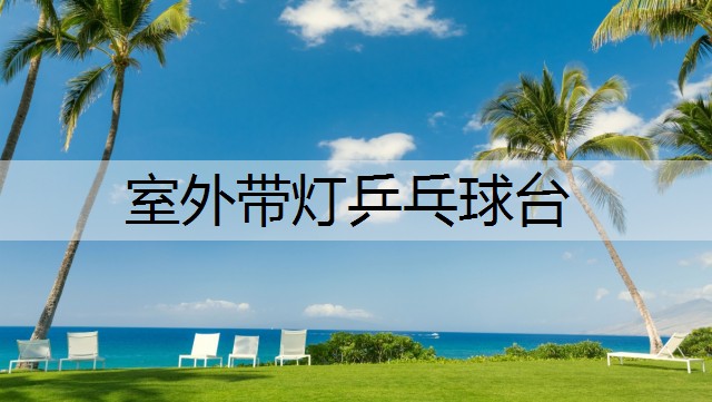 室外带灯乒乓球台