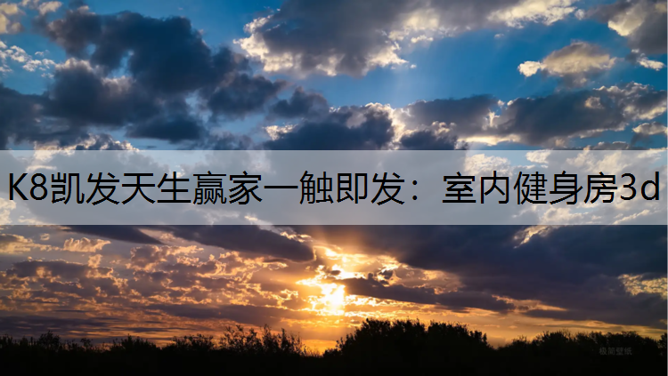 K8凯发天生赢家一触即发：室内健身房3d