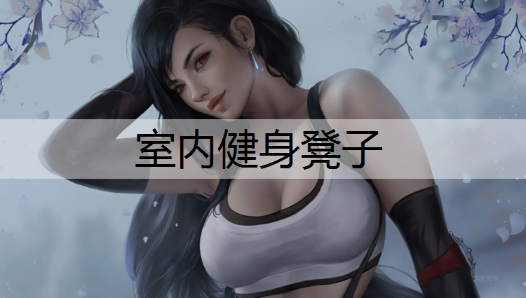 室内健身凳子