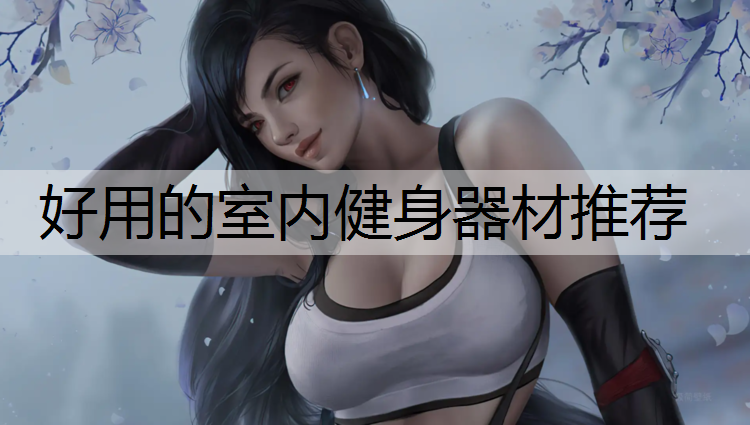 好用的室内健身器材推荐
