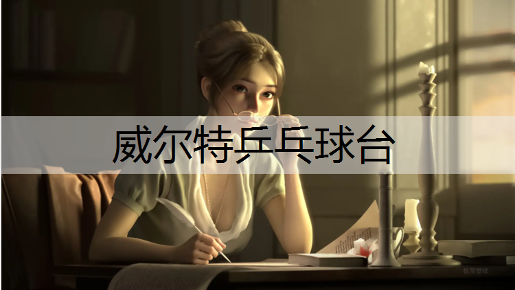 威尔特乒乓球台