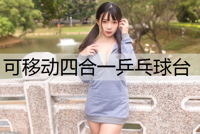 可移动四合一乒乓球台