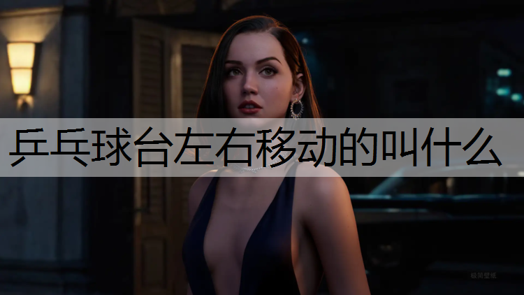 乒乓球台左右移动的叫什么