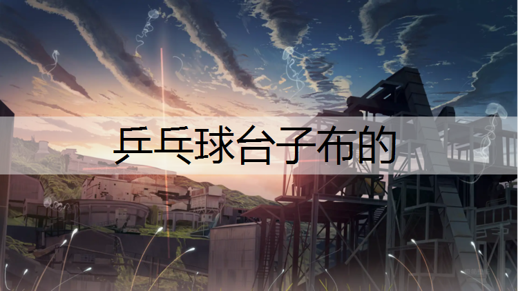 乒乓球台子布的