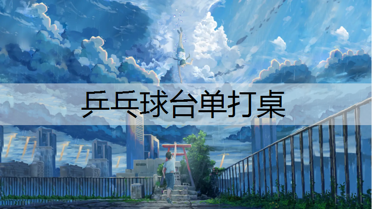 乒乓球台单打桌