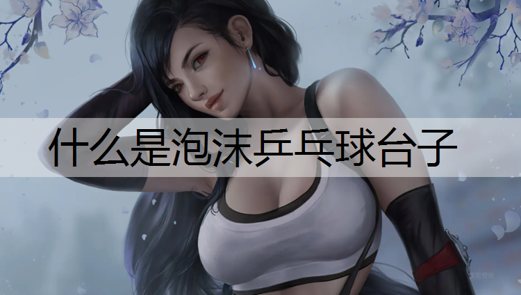 什么是泡沫乒乓球台子
