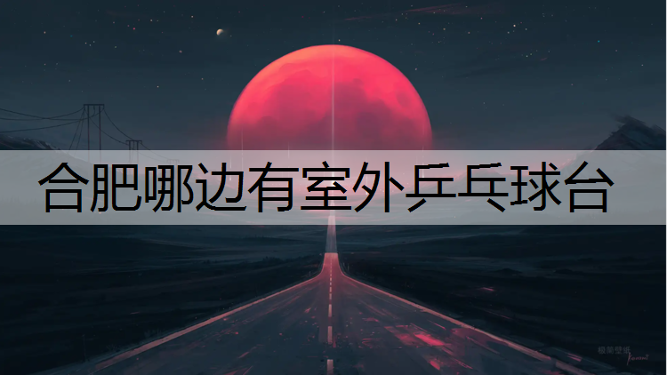 合肥哪边有室外乒乓球台