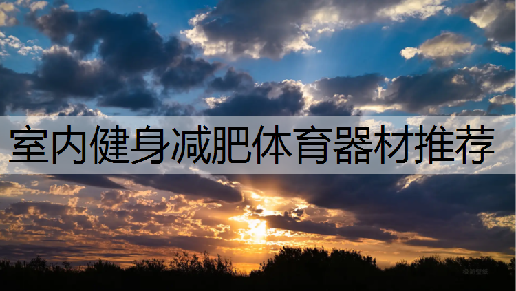 室内健身减肥体育器材推荐