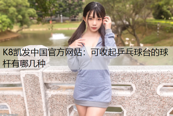 K8凯发中国官方网站：可收起乒乓球台的球杆有哪几种