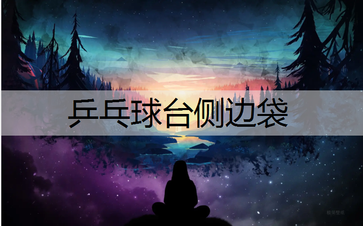 乒乓球台侧边袋