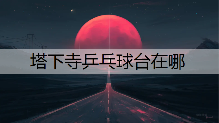 塔下寺乒乓球台在哪
