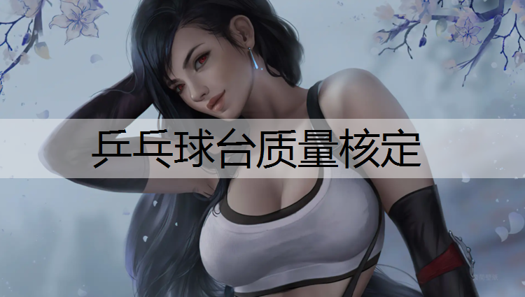 乒乓球台质量核定