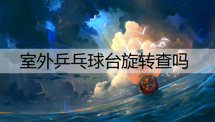 室外乒乓球台旋转查吗
