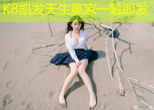 K8凯发国际官方网站：甘南混合塑胶跑道