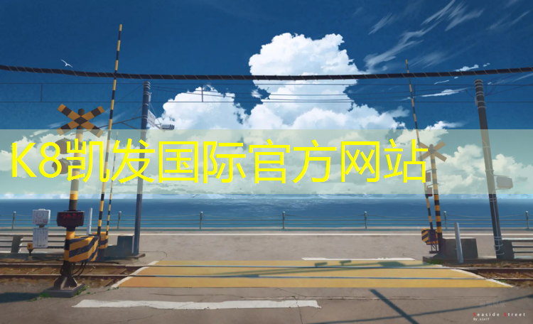 K8凯发：跆拳道的脚护具