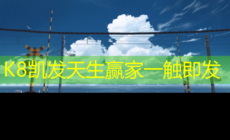K8凯发：塑胶跑道果图