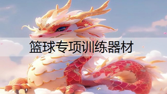 篮球专项训练器材