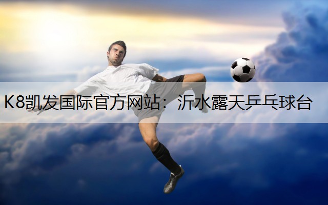 沂水露天乒乓球台