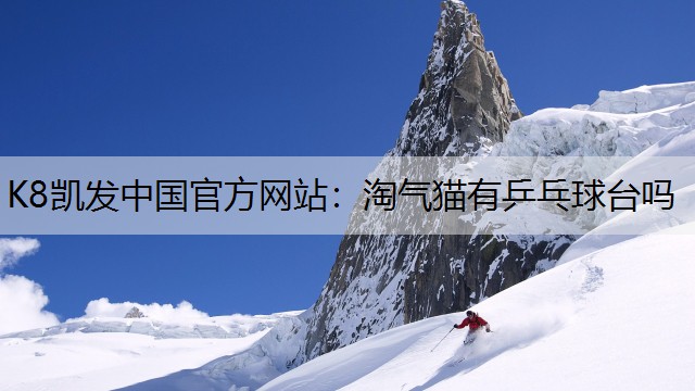 淘气猫有乒乓球台吗