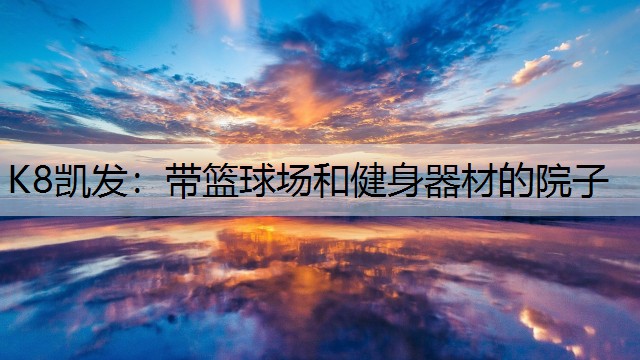 带篮球场和健身器材的院子