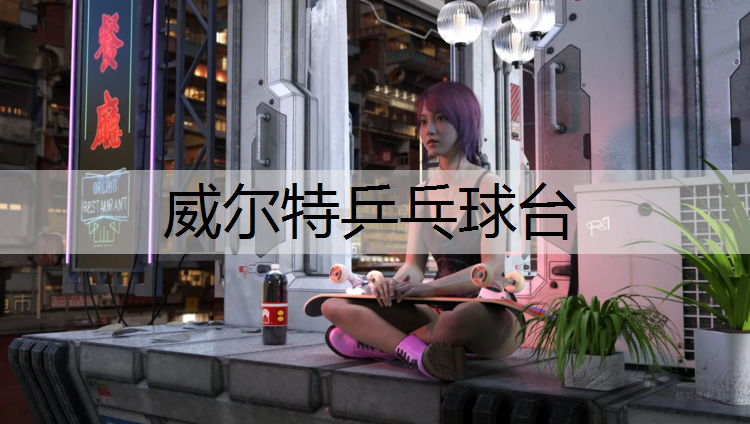威尔特乒乓球台