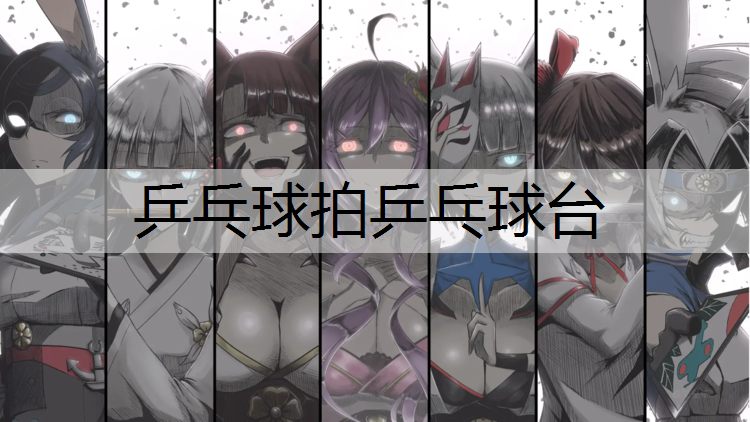 乒乓球拍乒乓球台