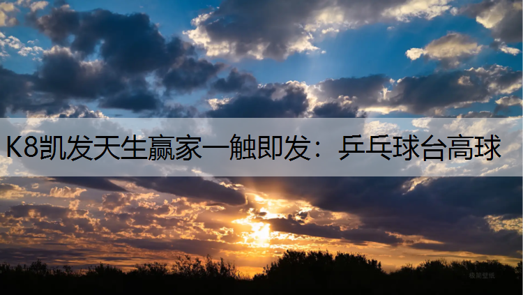 乒乓球台高球