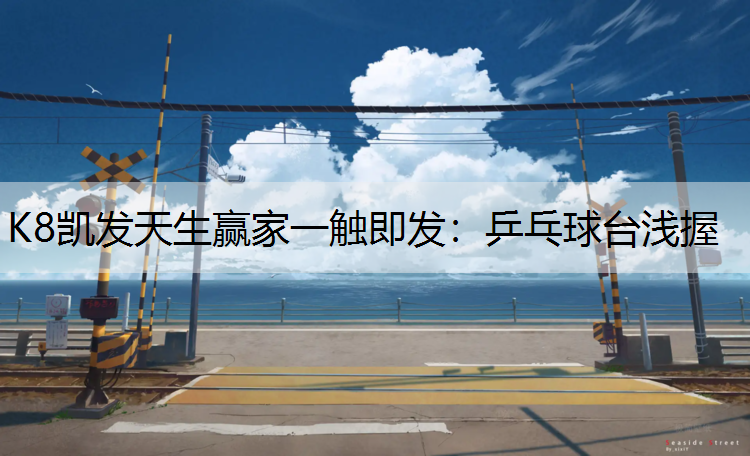 乒乓球台浅握