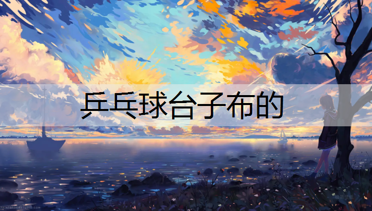 乒乓球台子布的