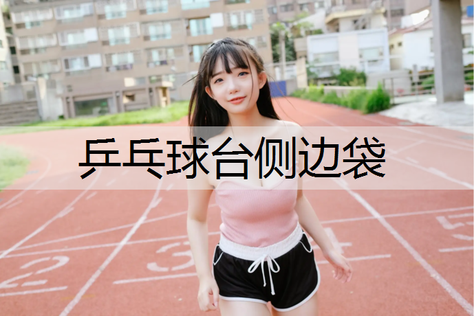 乒乓球台侧边袋