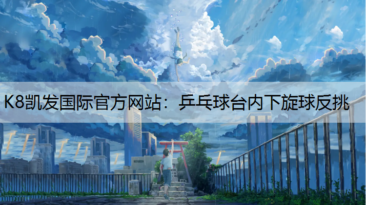 乒乓球台内下旋球反挑